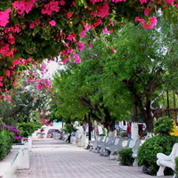 Garitas de Ciudad Miguel Alemán, Tamaulipas